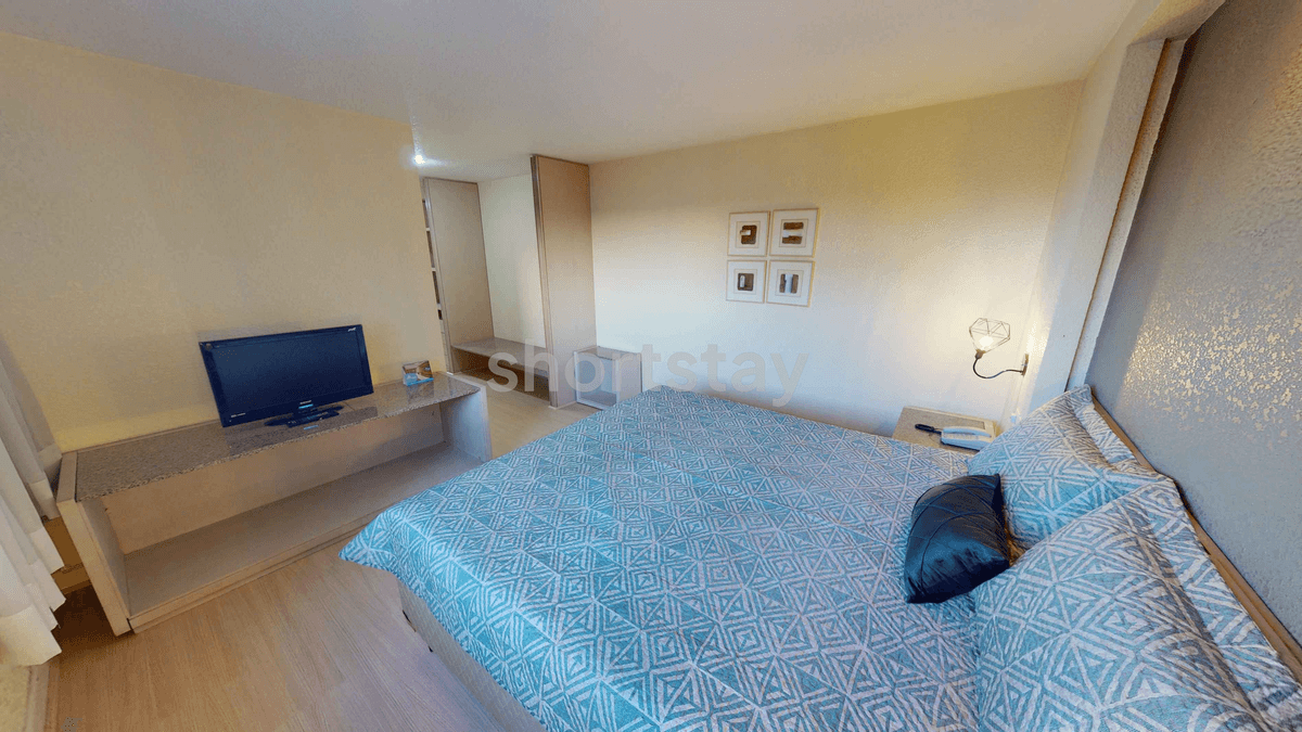 Ambassador - Image 1