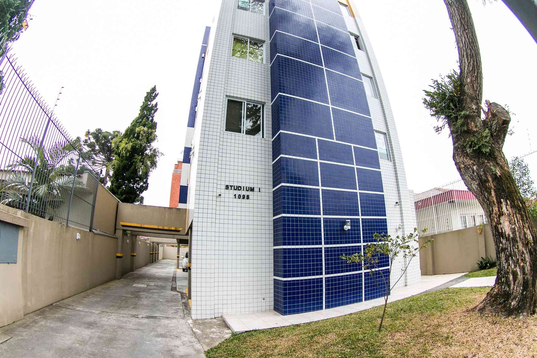 Studium - Image 1